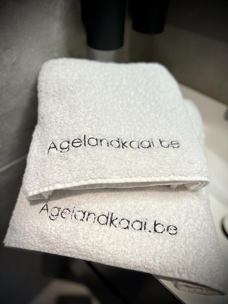 Apartament La Belletage By Agelandkaai Be With Free Parking Gandawa Zewnętrze zdjęcie