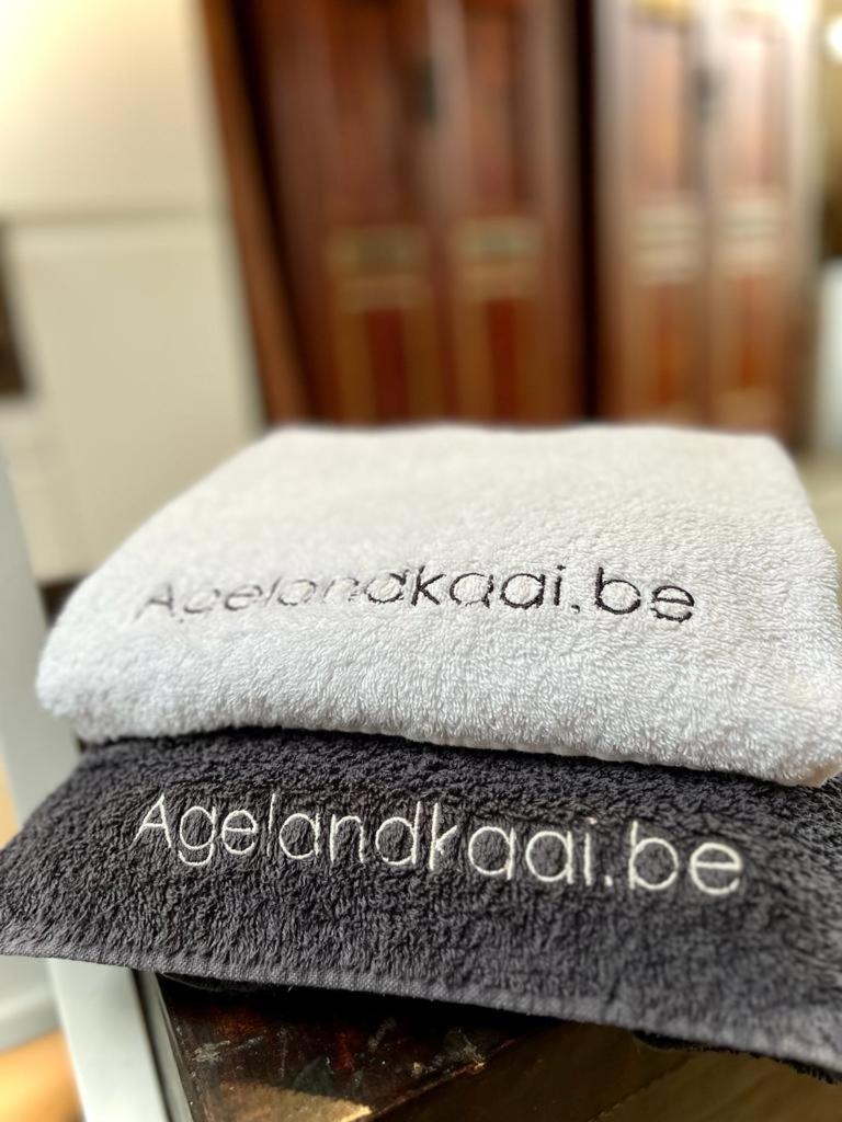Apartament La Belletage By Agelandkaai Be With Free Parking Gandawa Zewnętrze zdjęcie
